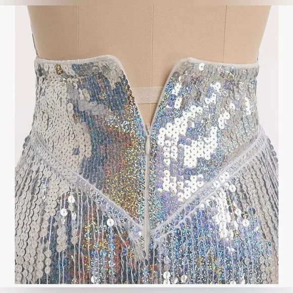 Bodysuit Leotard Sexy, Sequins Fringe large silver christmas new year party - Picture 9 of 9